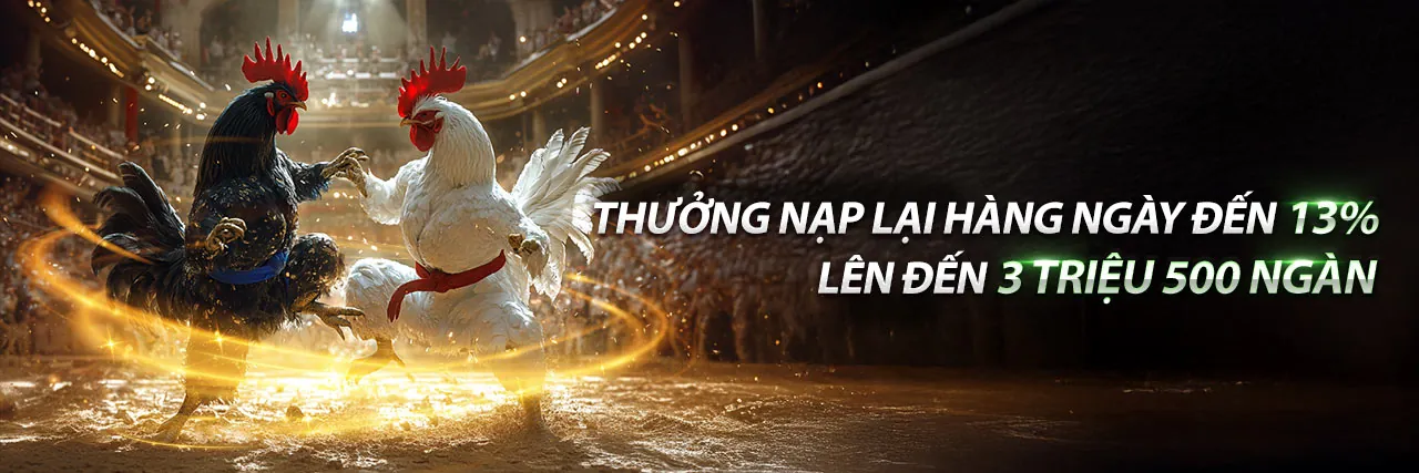 Đá gà trực tiếp tại go88 tài xỉu